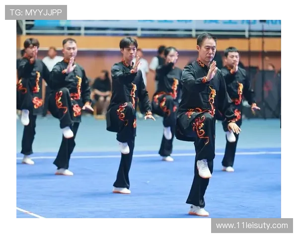 2026年焦作太极拳比赛盛况回顾与精彩瞬间