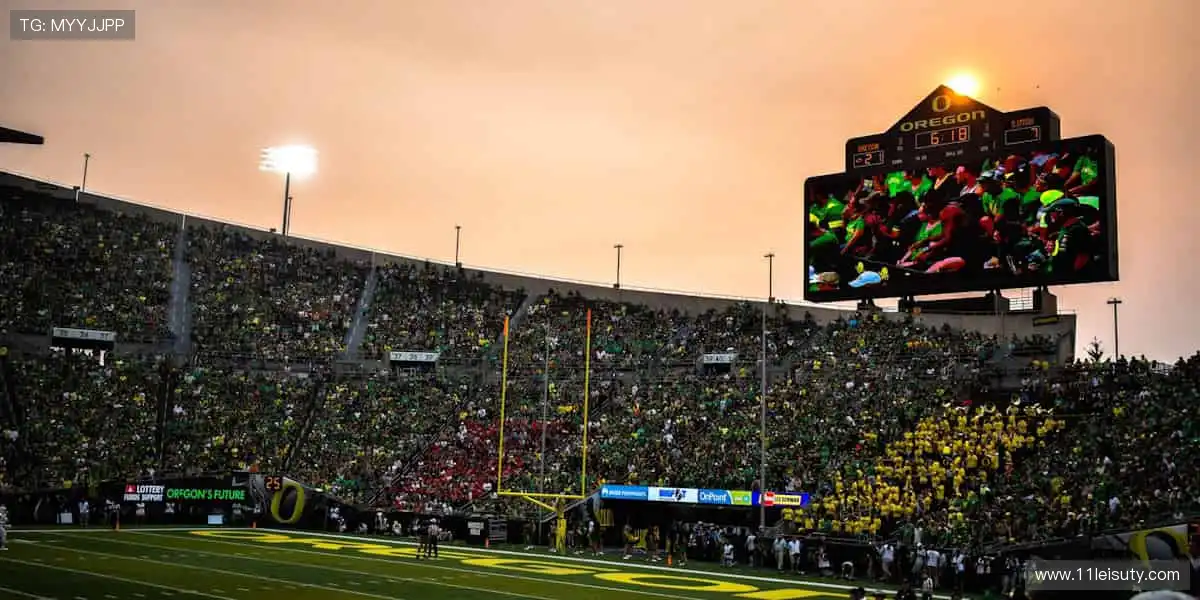 🏃 奔跑吧，用汗水书写属于你的传奇！✨